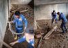 Evakuasi biawak yang masuk ke rumah warga Pamarican Ciamis