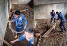 Evakuasi biawak yang masuk ke rumah warga Pamarican Ciamis