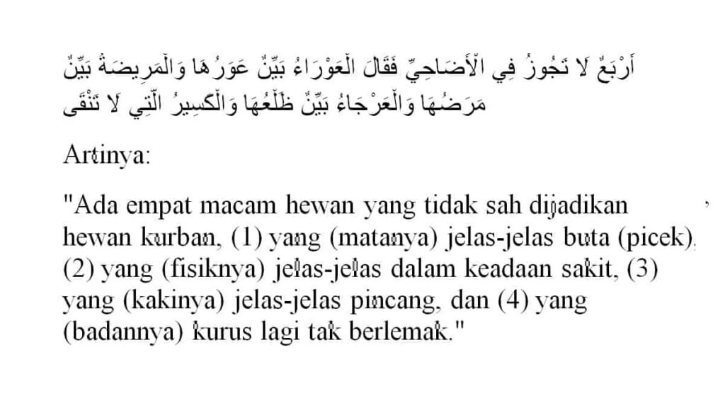 Hadits Tentang Hewan Kurban Lengkap dengan Keutamaannya