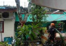 Hujan Deras Disertai Angin Kencang di Ciamis, Satu Rumah Tertimpa Pohon Tumbang