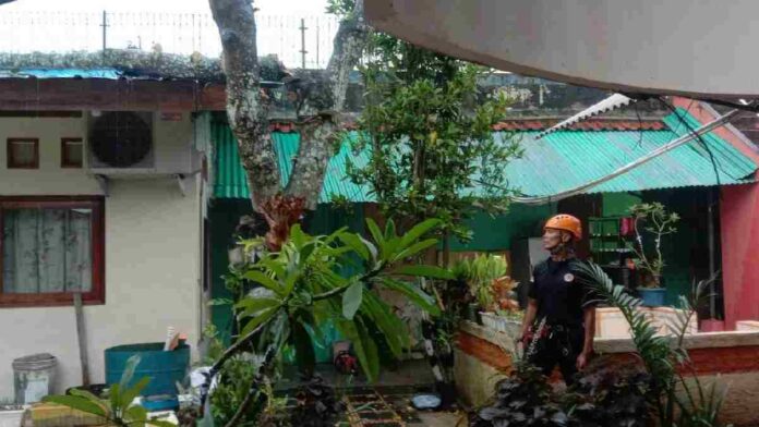 Hujan Deras Disertai Angin Kencang di Ciamis, Satu Rumah Tertimpa Pohon Tumbang