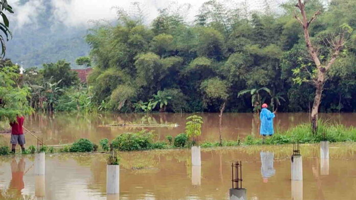 Innalillahi, Lansia di Tasikmalaya Ditemukan Tewas Tenggelam di Sawah yang Kebanjiran
