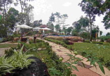 Liburan Asik di Ciamis, Ini 9 Rekomendasi Tempat Wisata untuk Long Weekend