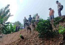 Longsor dan pergerakan tanah di Garut