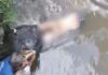 Mayat pria ditemukan mengambang di Sungai Cimulu Tasikmalaya