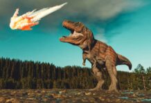 Mengenal Berbagai Penyakit yang Menyerang Dinosaurus