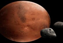 Mengetahui Perbedaan Satelit Phobos dan Deimos yang Setia Mengelilingi Mars