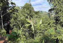 Warga Garut Temukan Mortir Tua di Kebun, Polda Jabar Turun Tangan Musnahkan di TKP