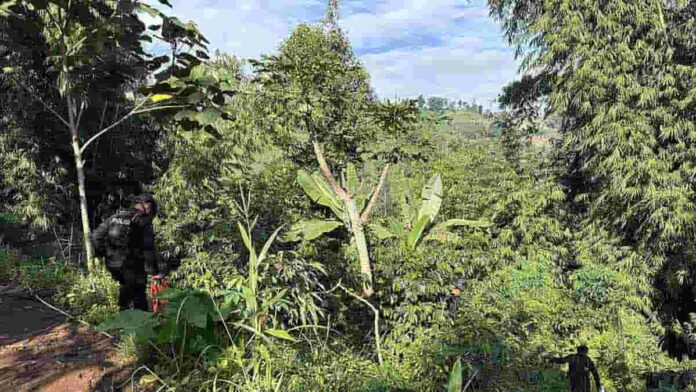Warga Garut Temukan Mortir Tua di Kebun, Polda Jabar Turun Tangan Musnahkan di TKP