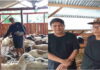 Nanang Permana Kunjungi Peternakan Domba di Desa Jelat Ciamis: Ini Patut Dicontoh