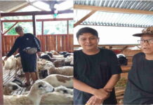 Nanang Permana Kunjungi Peternakan Domba di Desa Jelat Ciamis: Ini Patut Dicontoh
