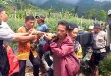 Pemburu Lokal Temukan Pendaki Hilang di Gunung Cikuray Garut dengan Selamat