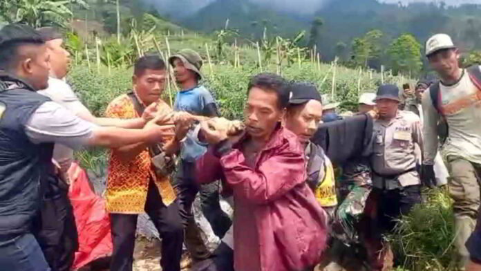 Pemburu Lokal Temukan Pendaki Hilang di Gunung Cikuray Garut dengan Selamat