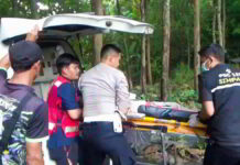 Pemotor Alami Kecelakaan Tunggal di Sumedang, 1 Orang Meninggal, Diduga Ini Penyebabnya