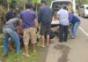 Pemotor tabrak anjing di Pamarican Ciamis