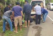 Pemotor tabrak anjing di Pamarican Ciamis