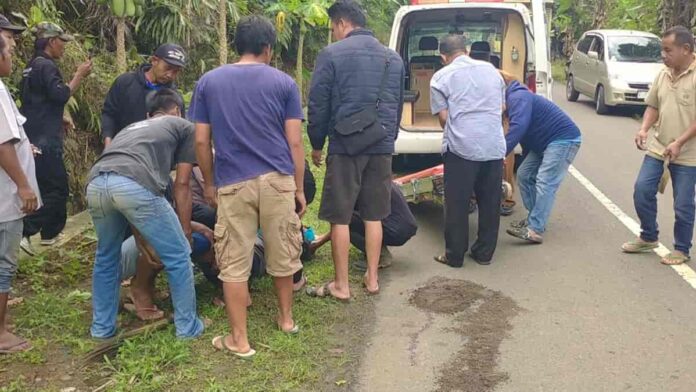 Pemotor tabrak anjing di Pamarican Ciamis