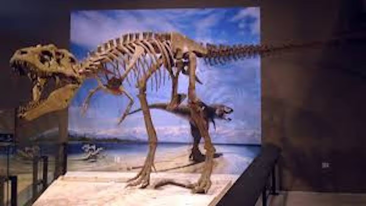 Penemuan Fosil Ahvaytum Bahndooiveche, Membuka Babak Baru dalam Pemahaman Evolusi Dinosaurus