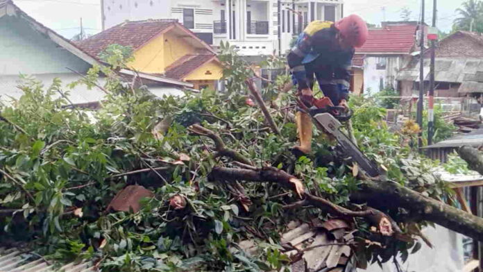 Pohon Tumbang Timpa Garasi Mobil Milik Warga Tasikmalaya Saat Hujan dan Angin Kencang