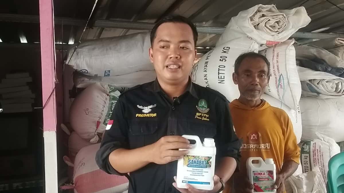 Poktan Bojongnangka Ciamis Ciptakan Pestisida Nabati dan Alat Deteksi Hama Ramah Lingkungan