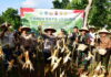 Polres Pangandaran Panen Jagung