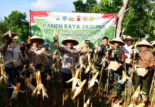 Polres Pangandaran Panen Jagung