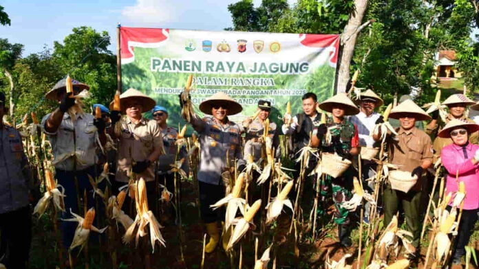 Polres Pangandaran Panen Jagung