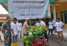Puluhan Pemuda di Ciamis Tanam 2.500 Pohon Demi Selamatkan Hutan 