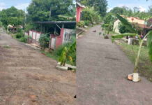 Respons DPUTR Kota Banjar Terkait Aksi Tanam Pohon di Jalan Rusak