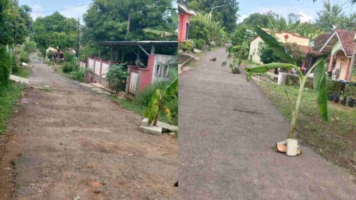 Respons DPUTR Kota Banjar Terkait Aksi Tanam Pohon di Jalan Rusak