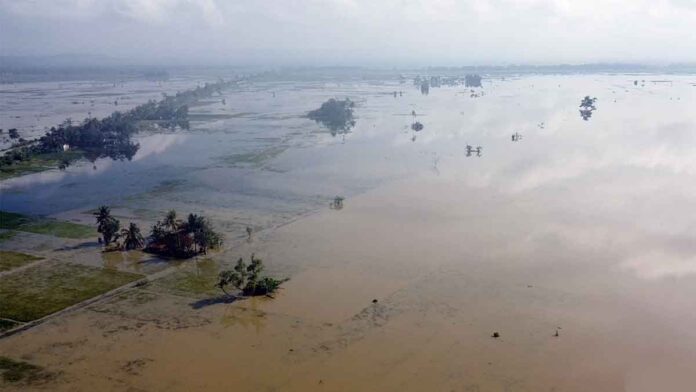 Dari Zaman Soeharto hingga Prabowo, Ribuan Hektar Sawah di Ciamis Ini Langganan Banjir, Petani Minta Pemerintah Turun Tangan