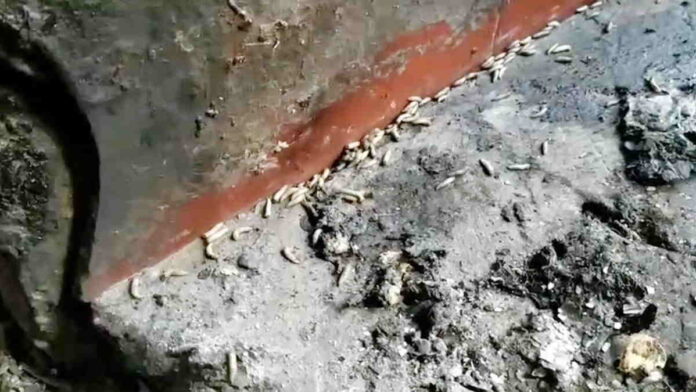Ribuan Belatung Serang Kios di Pasar Cisurupan Garut, Ternyata Ini Penyebabnya