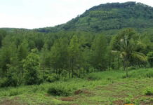 Sejarah Gunung Katu Malang, Pendarmaan Rangga Rajasa