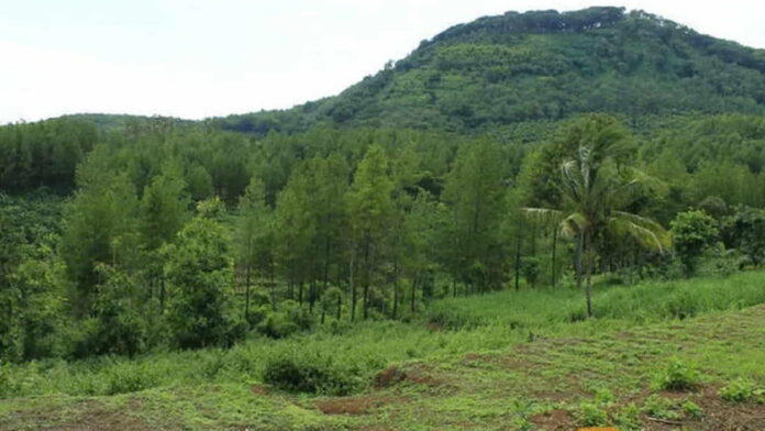 Sejarah Gunung Katu Malang, Pendarmaan Rangga Rajasa