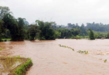 Sungai Citanduy Meluap Rendam 1,5 Hektare Area Persawahan di Cihaurbeuti Ciamis