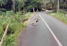 TPT Jalan Lintas Kawali-Sukadana Ciamis Ambruk, Pengendara Wajib Ekstra Hati-Hati