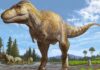 Terungkap, Begini Asal Usul Raja Dinosaurus Menurut Studi Terbaru