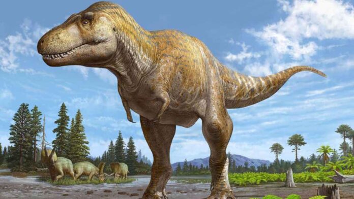 Terungkap, Begini Asal Usul Raja Dinosaurus Menurut Studi Terbaru