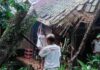 Tiga Rumah di Pangandaran Rusak Akibat Tertimpa Pohon Tumbang