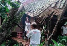 Tiga Rumah di Pangandaran Rusak Akibat Tertimpa Pohon Tumbang