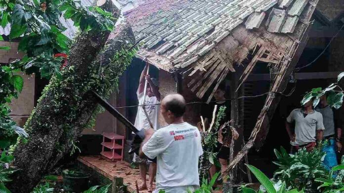 Tiga Rumah di Pangandaran Rusak Akibat Tertimpa Pohon Tumbang