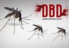 Waspada Demam Berdarah, 302 Kasus Tercatat di Ciamis hingga April 2025