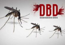 Waspada Demam Berdarah, 302 Kasus Tercatat di Ciamis hingga April 2025