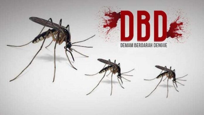 Waspada Demam Berdarah, 302 Kasus Tercatat di Ciamis hingga April 2025