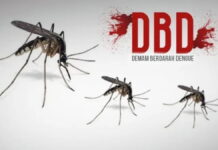 Waspada Demam Berdarah di Musim Hujan, Dokter RSUD Pandega Pangandaran Ingatkan Hal Berikut