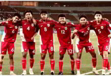 Pemain Timnas Naturalisasi
