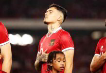 Pemain Naturalisasi Timnas