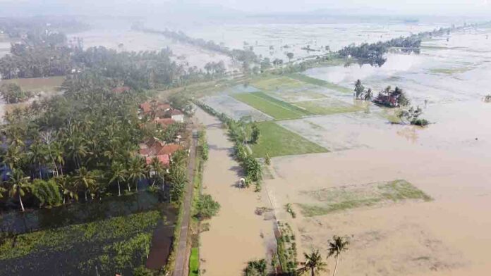 BPBD Ciamis Ungkap Data Terkini Wilayah Terdampak Banjir di Lakbok dan Purwadadi, Mayoritas Sawah
