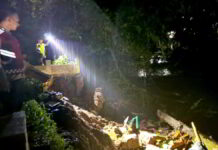 Tebing Pondasi Longsor