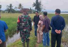 Bupati Ciamis, Herdiat Sunarya meninjau langsung warga yang terdampak banjir di 14 desa di Kecamatan Purwadadi dan juga Lakbok